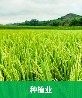 蔬菜追溯应用