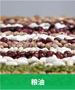 茶叶追溯应用