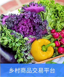 乡村振兴平台拓展方向二