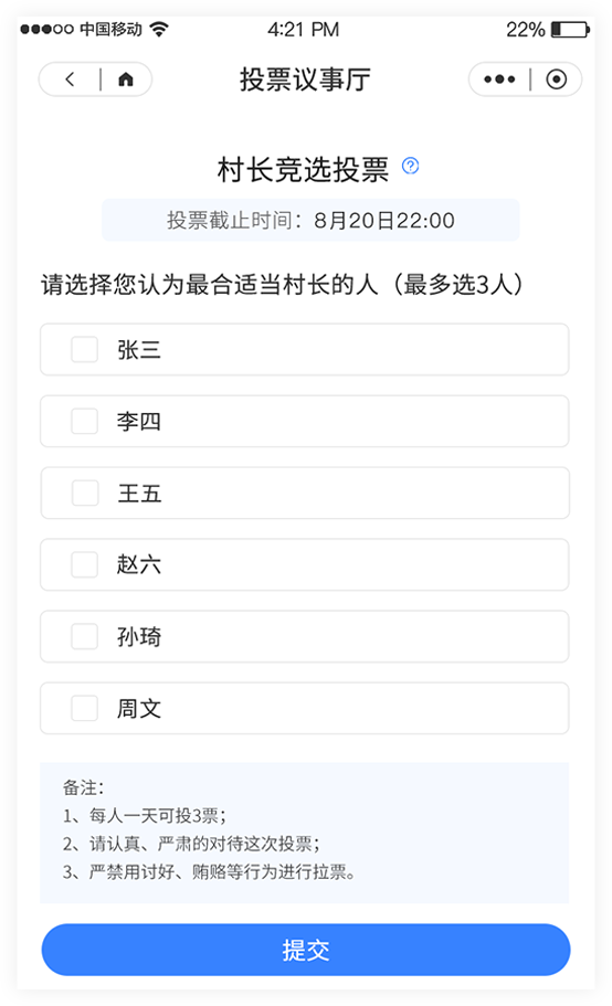 乡村议事投票